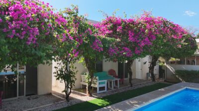 Hotel Boutique en Venta en Tamarindo Guanacaste