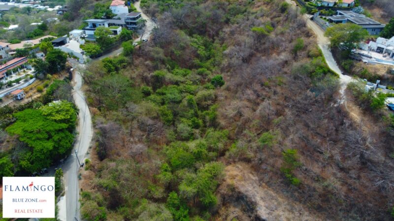 Tamarindo Costa Rica Real Estate for Sale | Ocean View Development Land