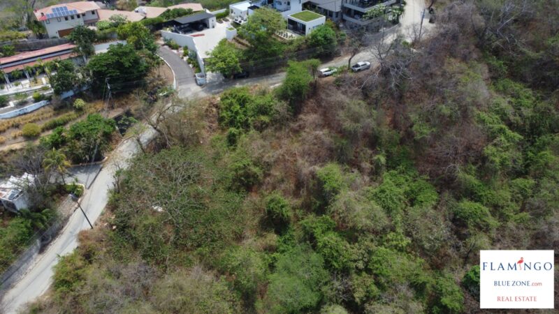 Tamarindo Costa Rica Real Estate for Sale | Ocean View Development Land