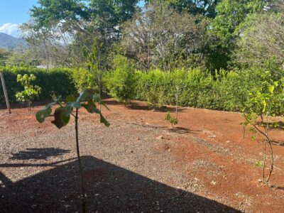 Playa Coyote Costa Rica Real Estate | 4 BR Beach House For Sale