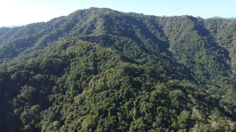 120-Hectare Ocean View Land for Sale | Corozalito Costa Rica Real Estate