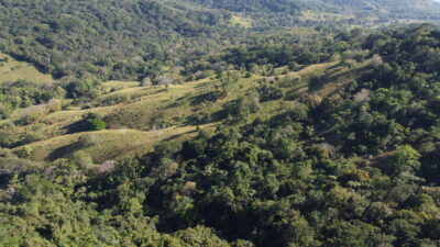 120-Hectare Ocean View Land for Sale | Corozalito Costa Rica Real Estate