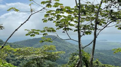 Ocean View Development Land for Sale in Coyote Blue Zone