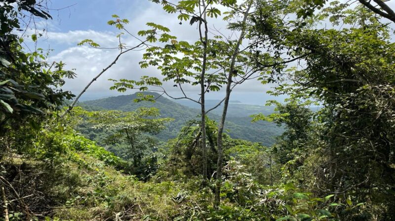 Ocean View Development Land for Sale in Coyote Blue Zone