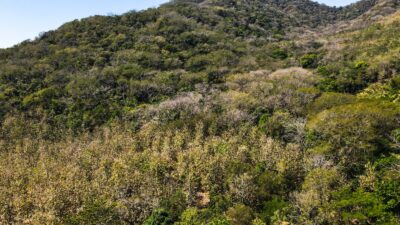 Ocean View Development Land for Sale in Coyote Blue Zone
