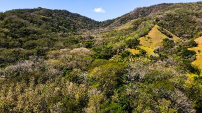 Ocean View Development Land for Sale in Coyote Blue Zone