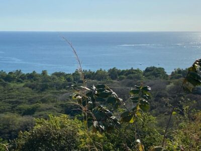 Ocean View Development Land for Sale Samara Guanacaste | 67-Hectare Turnkey Condominium Project
