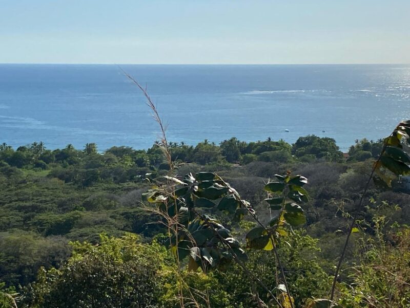 Ocean View Development Land for Sale Samara Guanacaste | 67-Hectare Turnkey Condominium Project