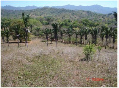 Colinas Corozalito Ocean View Farm for sale | Nandayure Development Land