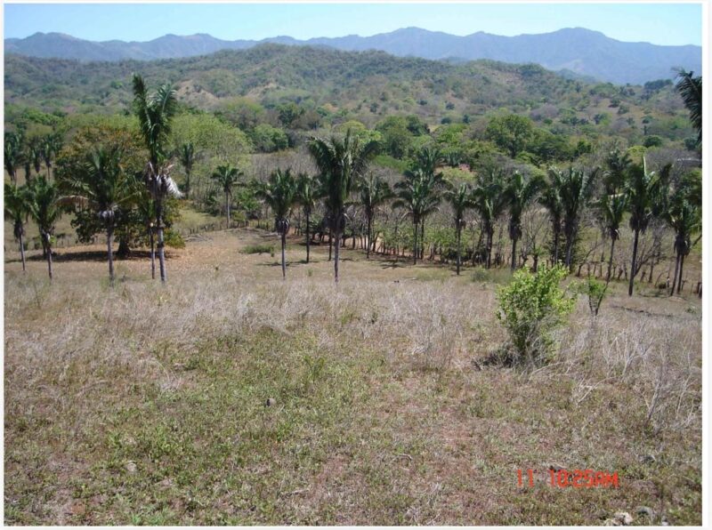 Colinas Corozalito Ocean View Farm for sale | Nandayure Development Land