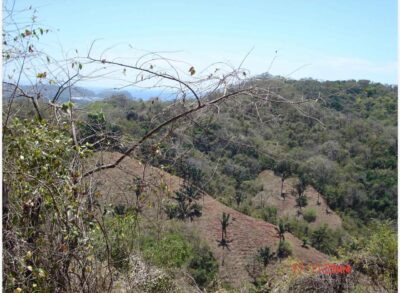 Colinas Corozalito Ocean View Farm for sale | Nandayure Development Land