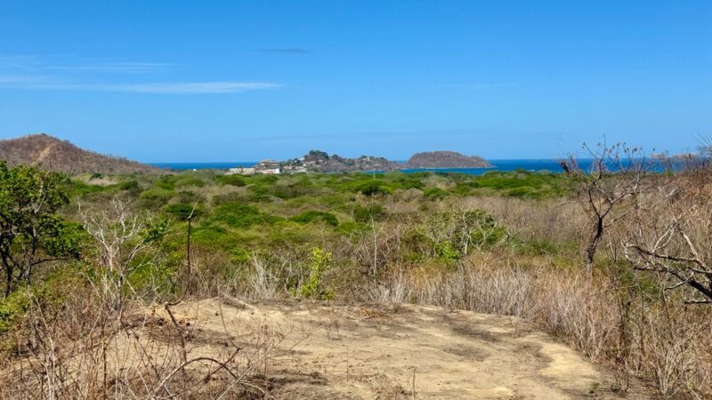 Playa Potrero Development Land | Ocean View Real Estate Guanacaste
