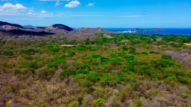 Playa Potrero Development Land | Ocean View Real Estate Guanacaste