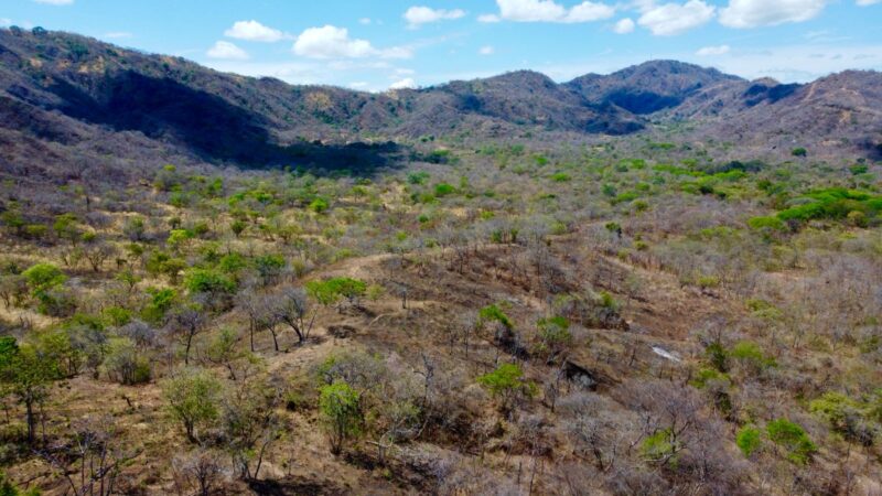 Playa Potrero Development Land | Ocean View Real Estate Guanacaste