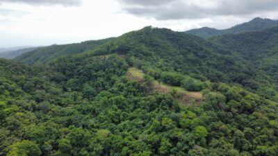 Playa Carrillo Development Land for Sale | 33-Hectare Ocean View Estate
