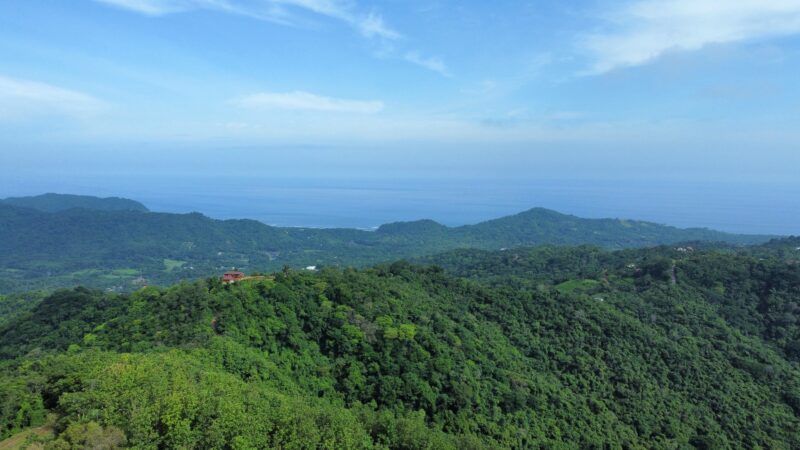 Playa Carrillo Development Land for Sale | 33-Hectare Ocean View Estate