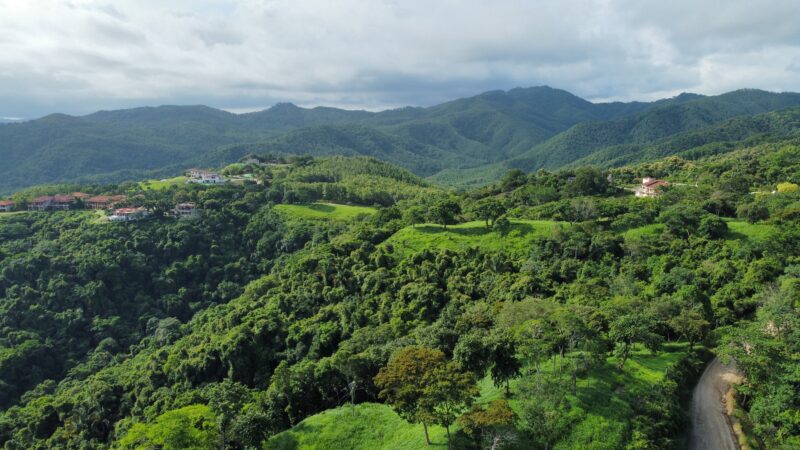 Playa Carrillo Development Land for Sale | 33-Hectare Ocean View Estate