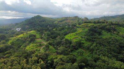 Samara Ocean View Development Land for Sale | 24-Hectare Estate