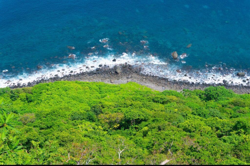 Lush tropical forest overlooking the ocean, perfect for luxury real estate guanacaste.