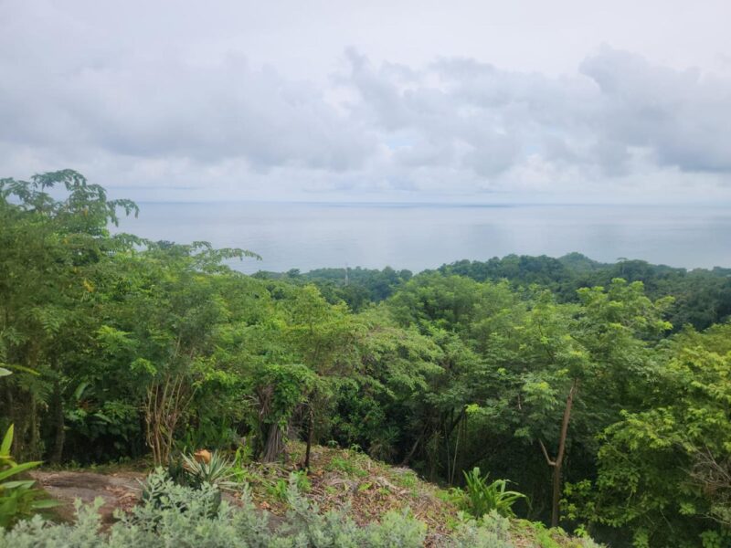 Luxury Land for Sale in Santa Teresa Exclusive Gated Community