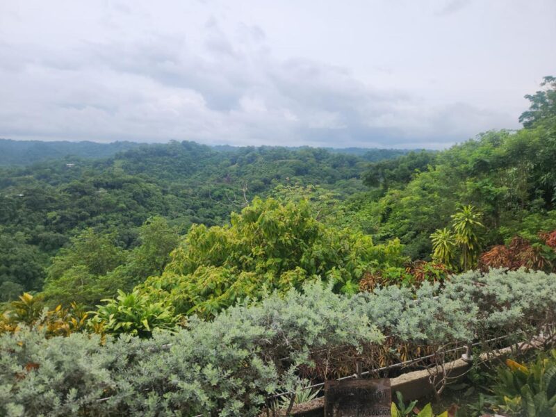 Luxury Land for Sale in Santa Teresa Exclusive Gated Community