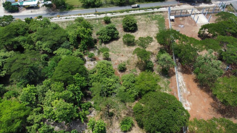 Prime Commercial and Institutional Land for Sale in Santa Cruz Guanacaste | Route 21