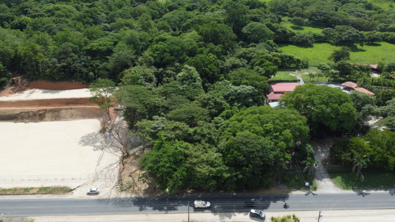 Lote en Venta en Nicoya | Macrolote Comercial de 2 Hectáreas sobre Ruta 21