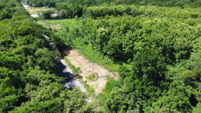 Lote en Venta en Nicoya | Terreno Comercial de 2 Hectáreas con Teca sobre Ruta 21