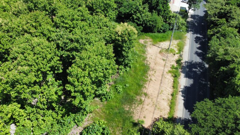 Lote en Venta en Nicoya | Terreno Comercial de 2 Hectáreas con Teca sobre Ruta 21
