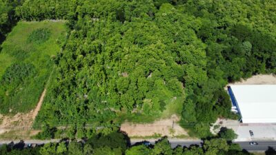 Lote en Venta en Nicoya | Terreno Comercial de 2 Hectáreas con Teca sobre Ruta 21
