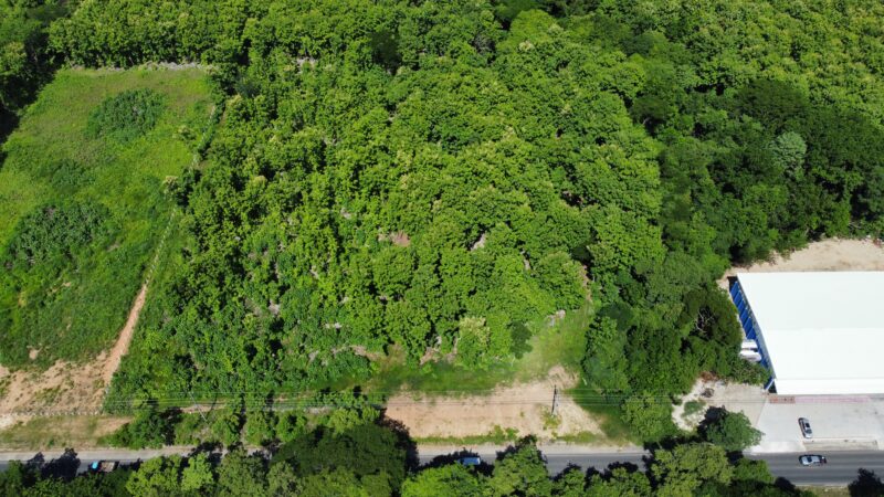 Lote en Venta en Nicoya | Terreno Comercial de 2 Hectáreas con Teca sobre Ruta 21