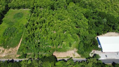 Lote en Venta en Nicoya | Terreno Comercial de 2 Hectáreas con Teca sobre Ruta 21