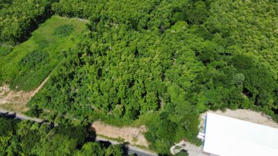 Lote en Venta en Nicoya | Terreno Comercial de 2 Hectáreas con Teca sobre Ruta 21