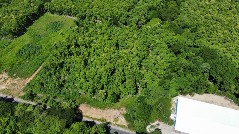 Lote en Venta en Nicoya | Terreno Comercial de 2 Hectáreas con Teca sobre Ruta 21