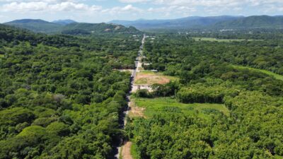 Lote en Venta en Nicoya | Terreno Comercial de 2 Hectáreas con Teca sobre Ruta 21
