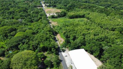 Lote en Venta en Nicoya | Terreno Comercial de 2 Hectáreas con Teca sobre Ruta 21