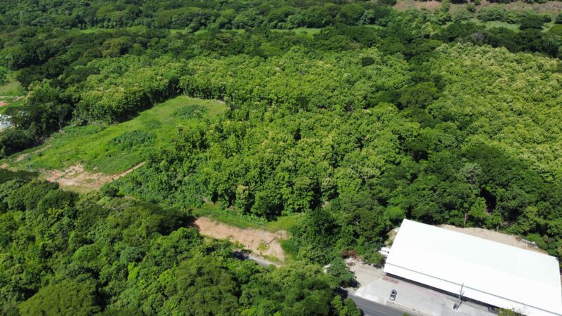 Lote en Venta en Nicoya | Terreno Comercial de 2 Hectáreas con Teca sobre Ruta 21
