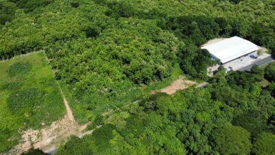 Lote en Venta en Nicoya | Terreno Comercial de 2 Hectáreas con Teca sobre Ruta 21
