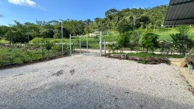 Casa en Venta en Hojancha | Propiedad de 600 m² con Local Comercial Activo