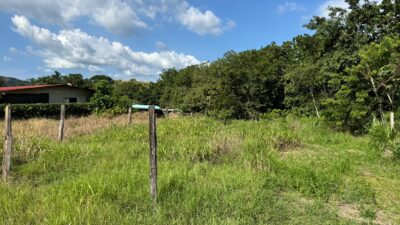 Lote en Venta en Hojancha | Terreno Residencial de 267 m² Listo para Construir